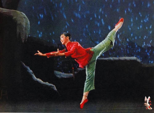 仿制假芬兰地址证明